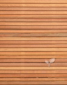 Hardhout tuinscherm