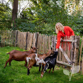 Omheining voor dieren