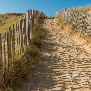 Schapenhek duinen