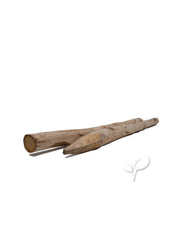 Kastanje tuinpaal 160 cm (set van 4)
